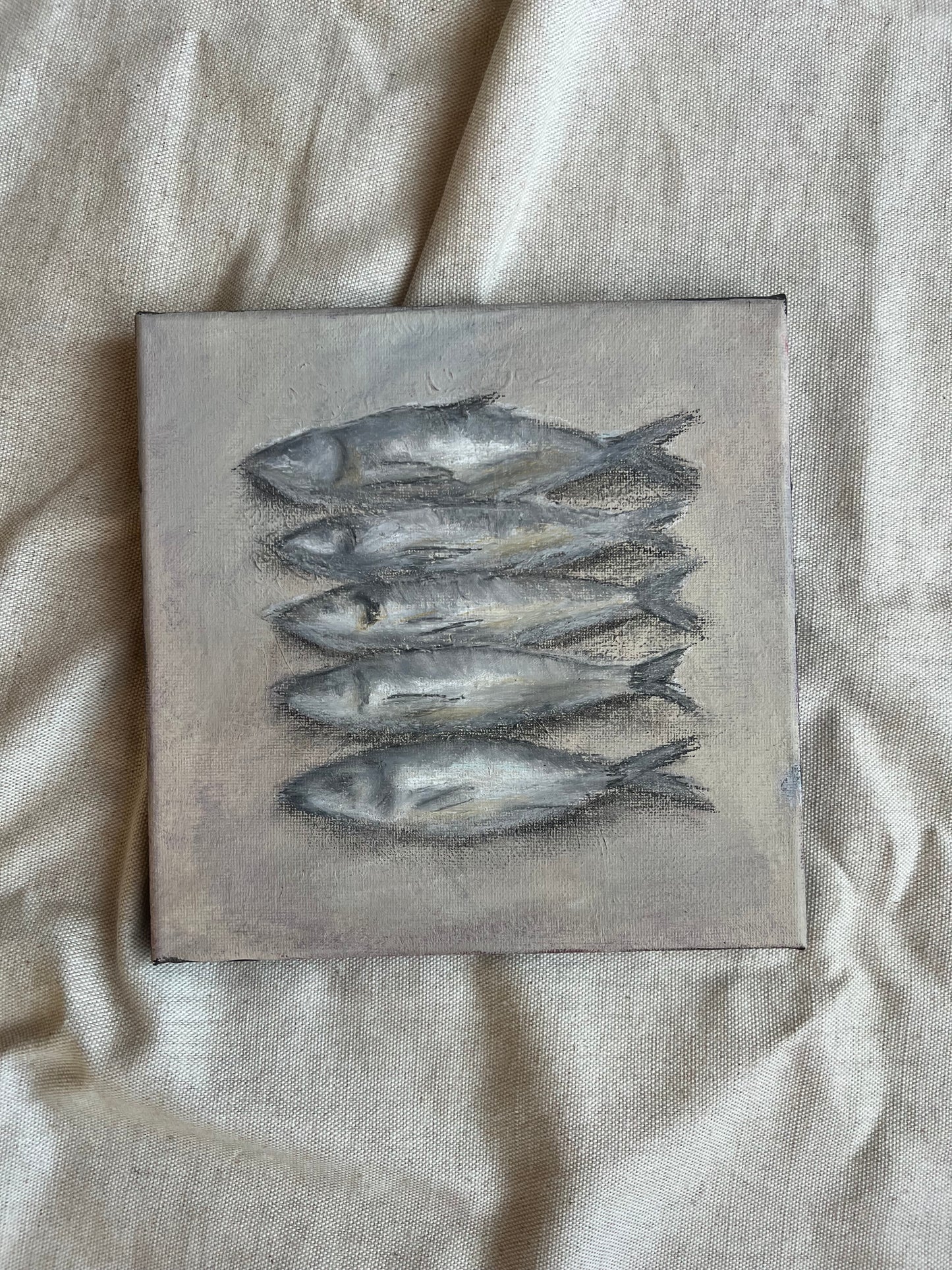 Grey Sardines