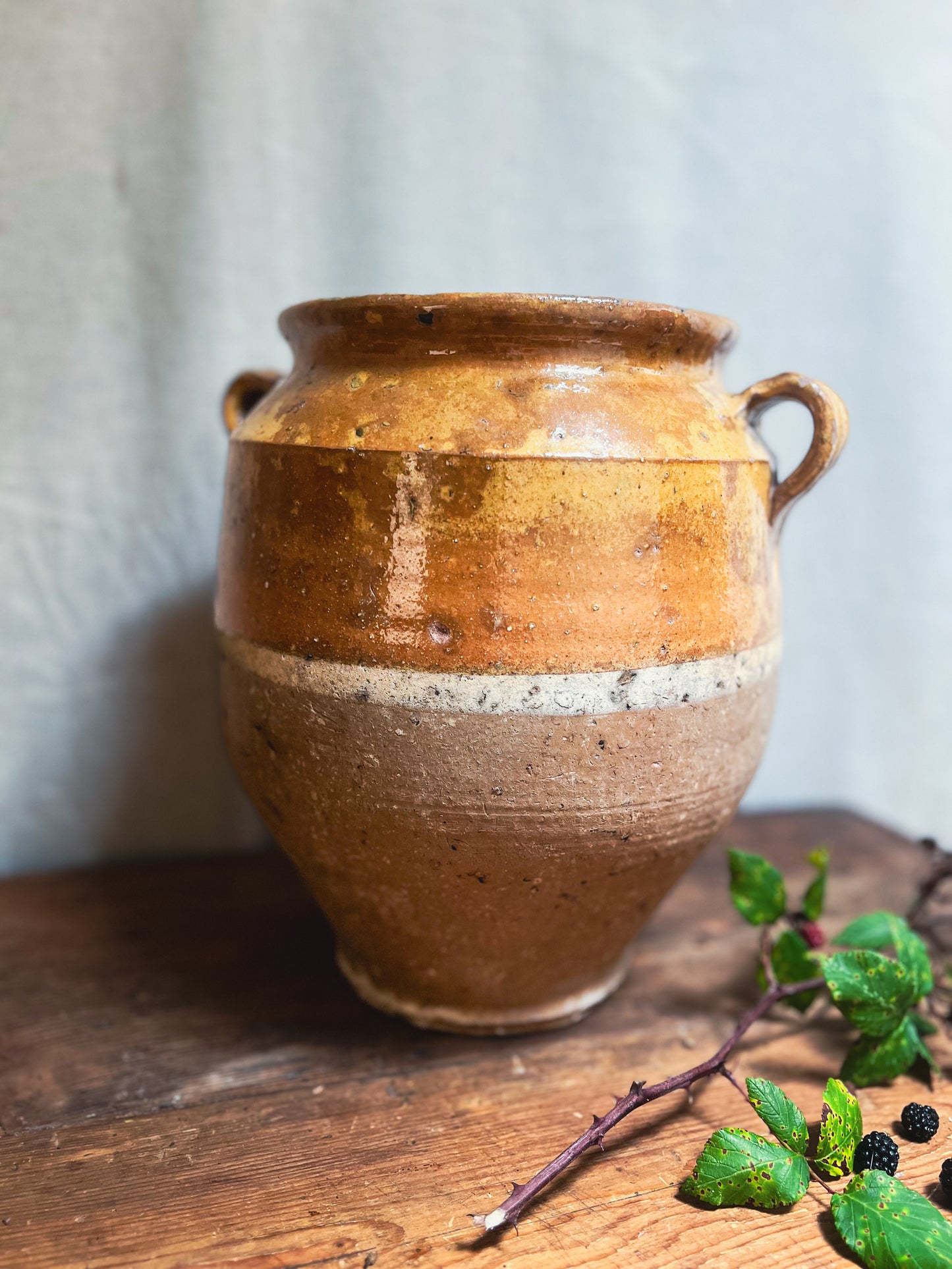 19th Century French Confit Pot