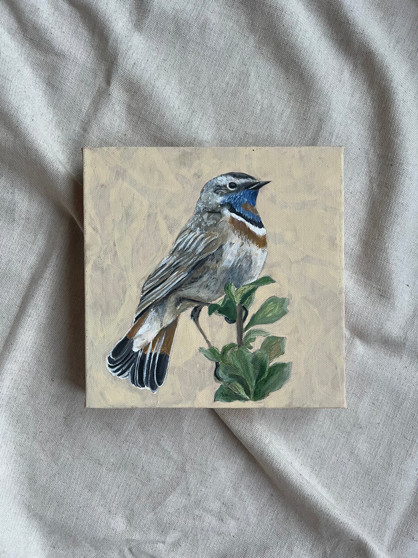 Blue Throat Bird