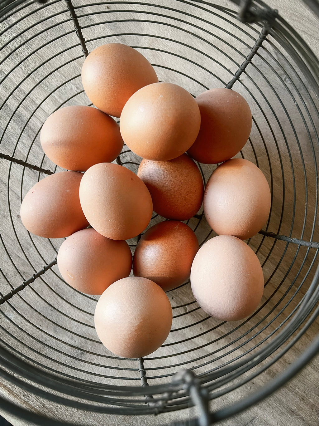 French Wire Egg Basket — Panier à oeufs