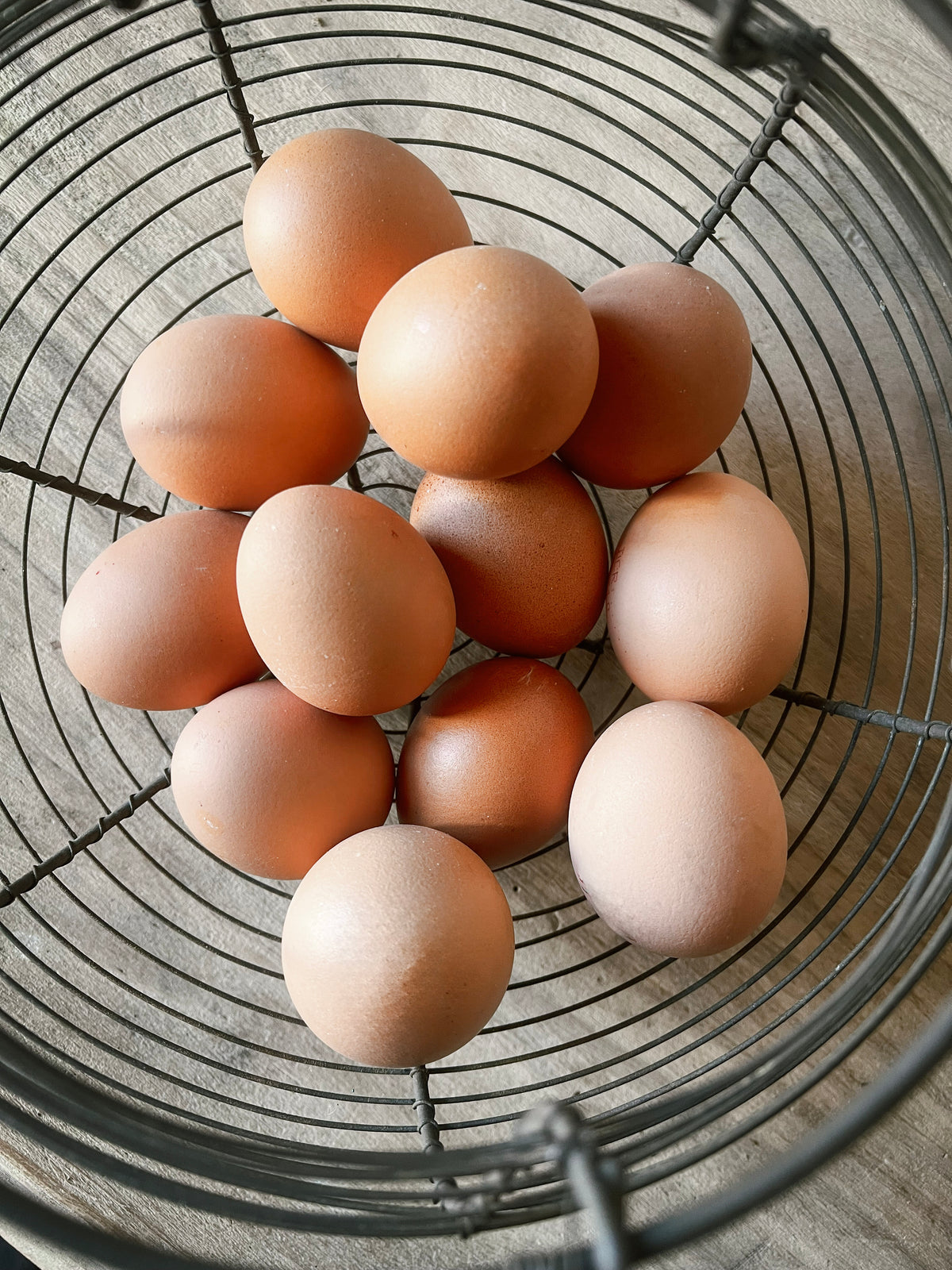 French Wire Egg Basket — Panier à oeufs