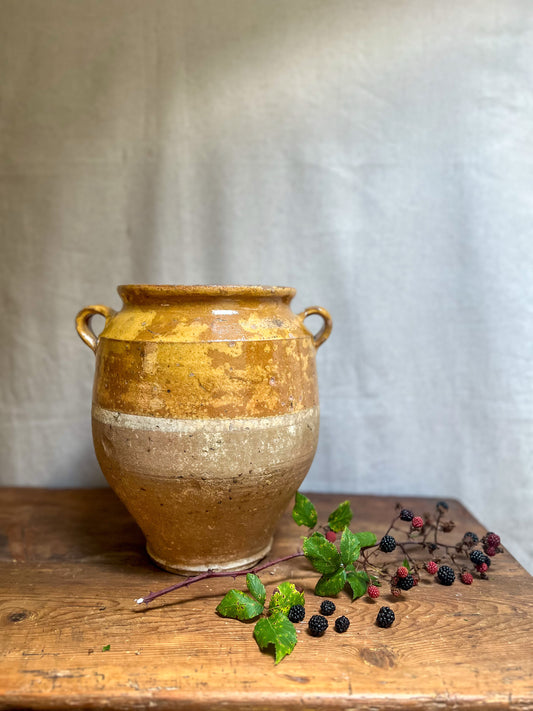 19th Century French Confit Pot