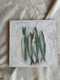 Sardines in Color