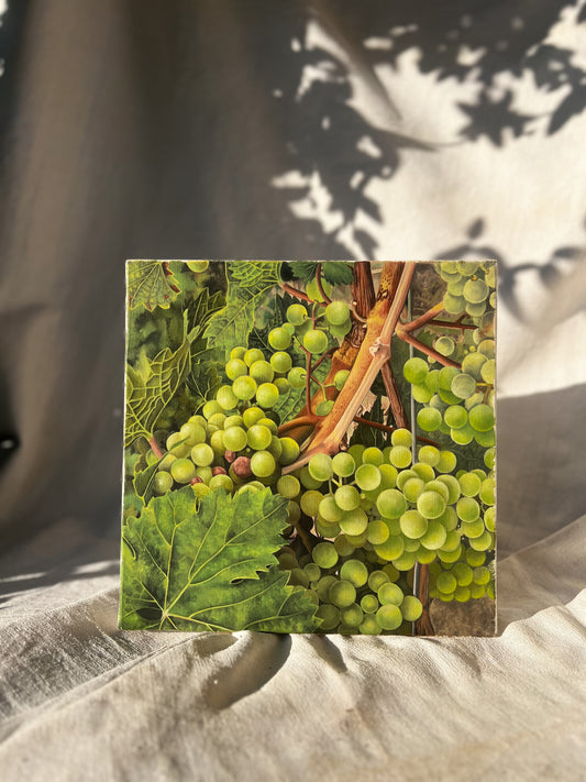 Vintage French Still Life Painting