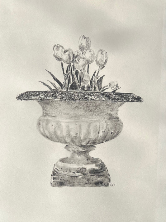 Tulips in Jardiniere Drawing |Charcoal & Graphite