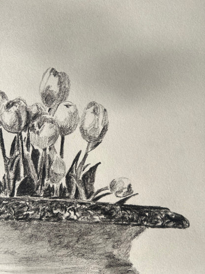 Tulips in Jardiniere Drawing |Charcoal & Graphite