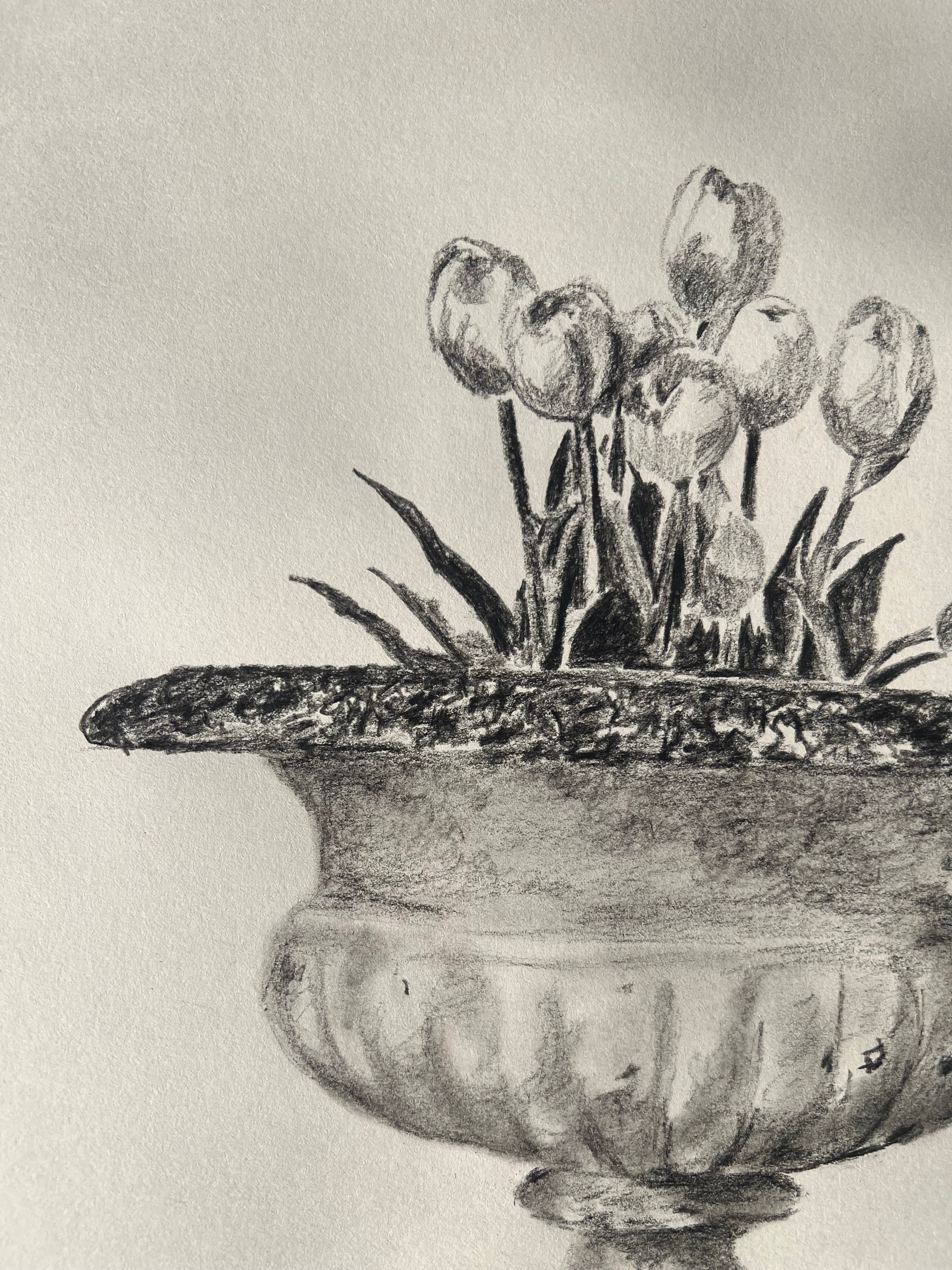 Tulips in Jardiniere Drawing |Charcoal & Graphite