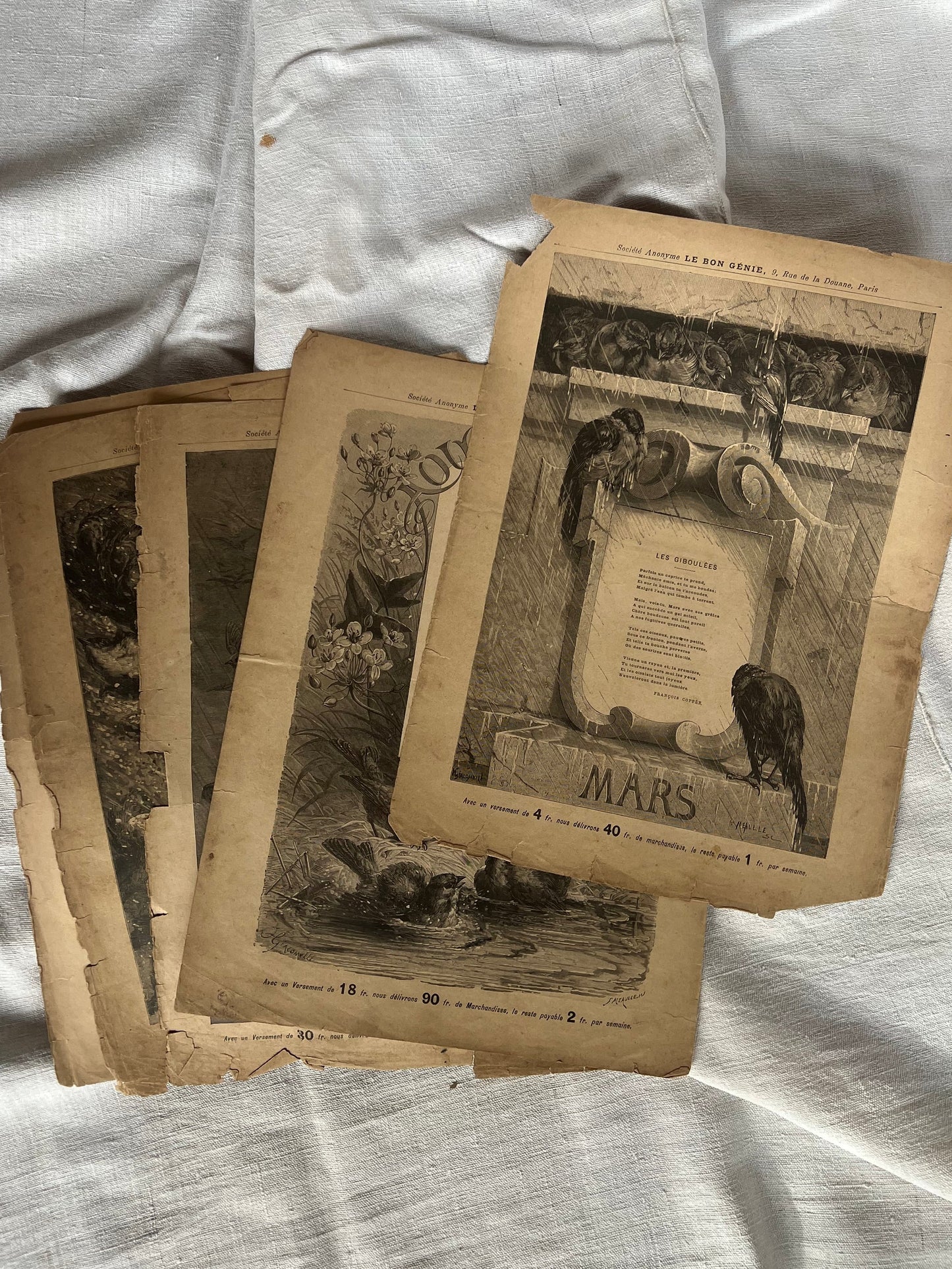 Complete Set of 12 Months – Antique French Illustrated Engravings, Le Bon Génie, Paris (c. 1880s–1890s)