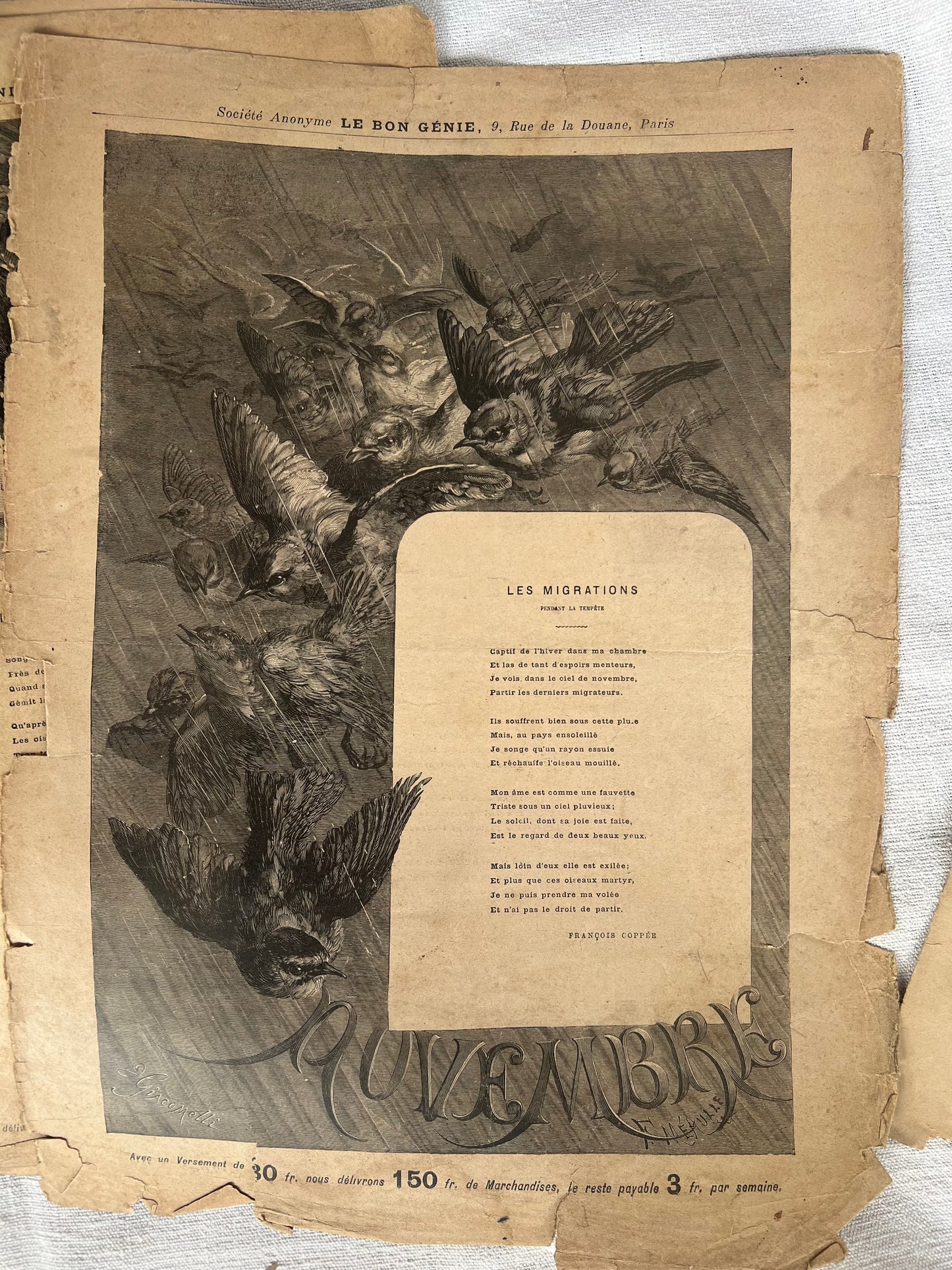 Complete Set of 12 Months – Antique French Illustrated Engravings, Le Bon Génie, Paris (c. 1880s–1890s)