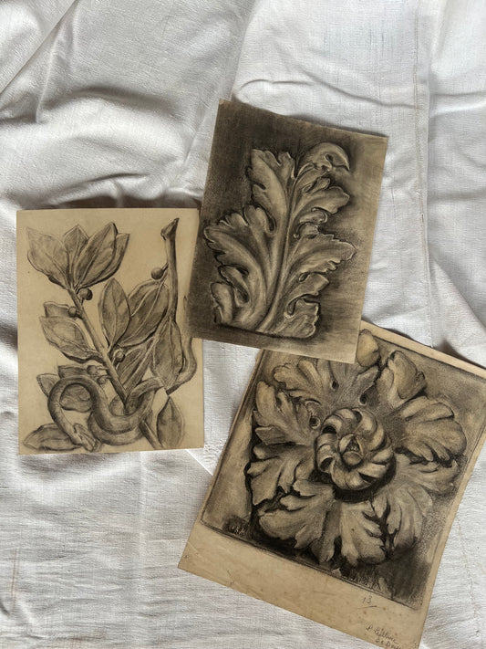 Set of 1930s French Charcoal Studies