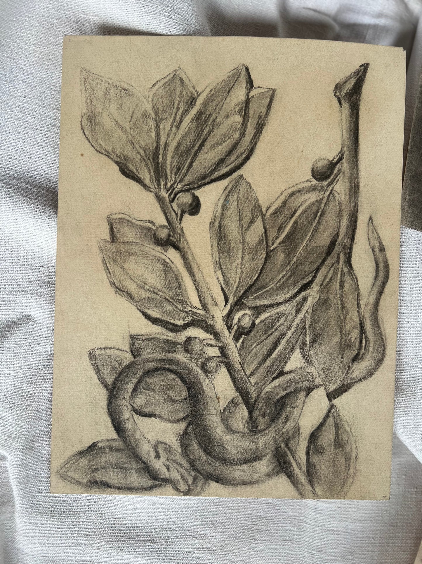 Set of 1930s French Charcoal Studies
