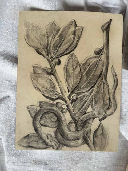Set of 1930s French Charcoal Studies