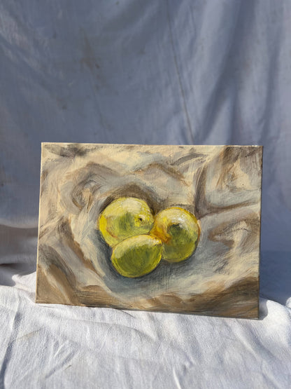 Study of Lemons | Acrylic on Canvas