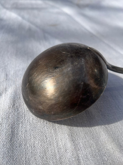 Silver-Plated Steel Ladle