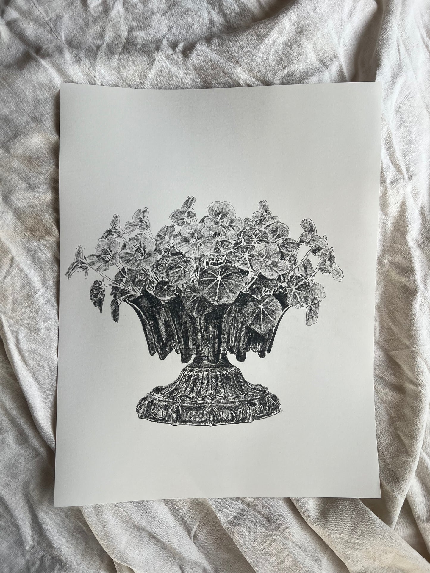 Nasturtiums in Jardiniere | Charcoal