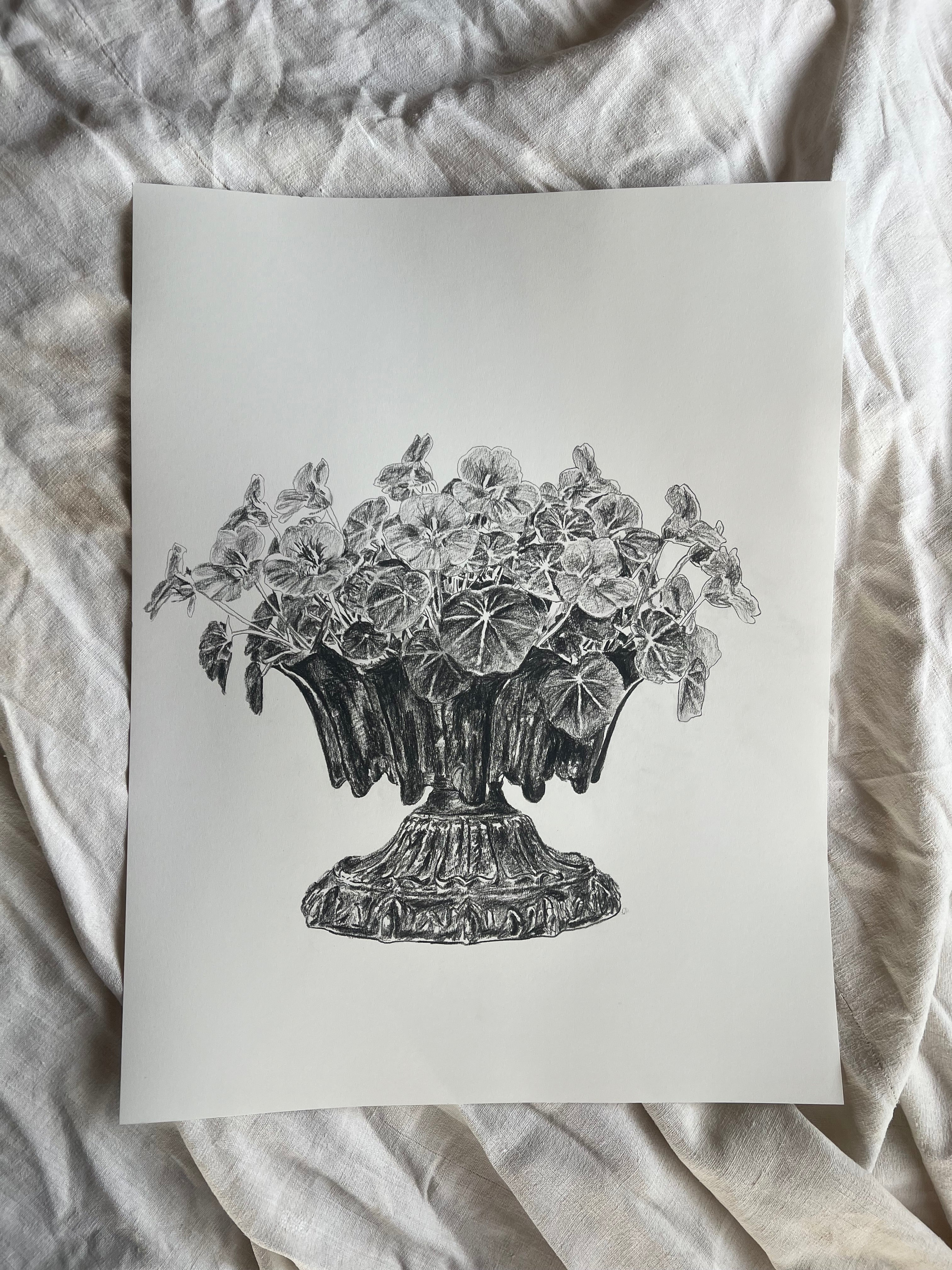 Nasturtiums in Jardiniere | Charcoal