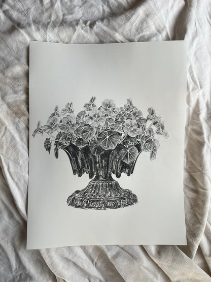 Nasturtiums in Jardiniere | Charcoal