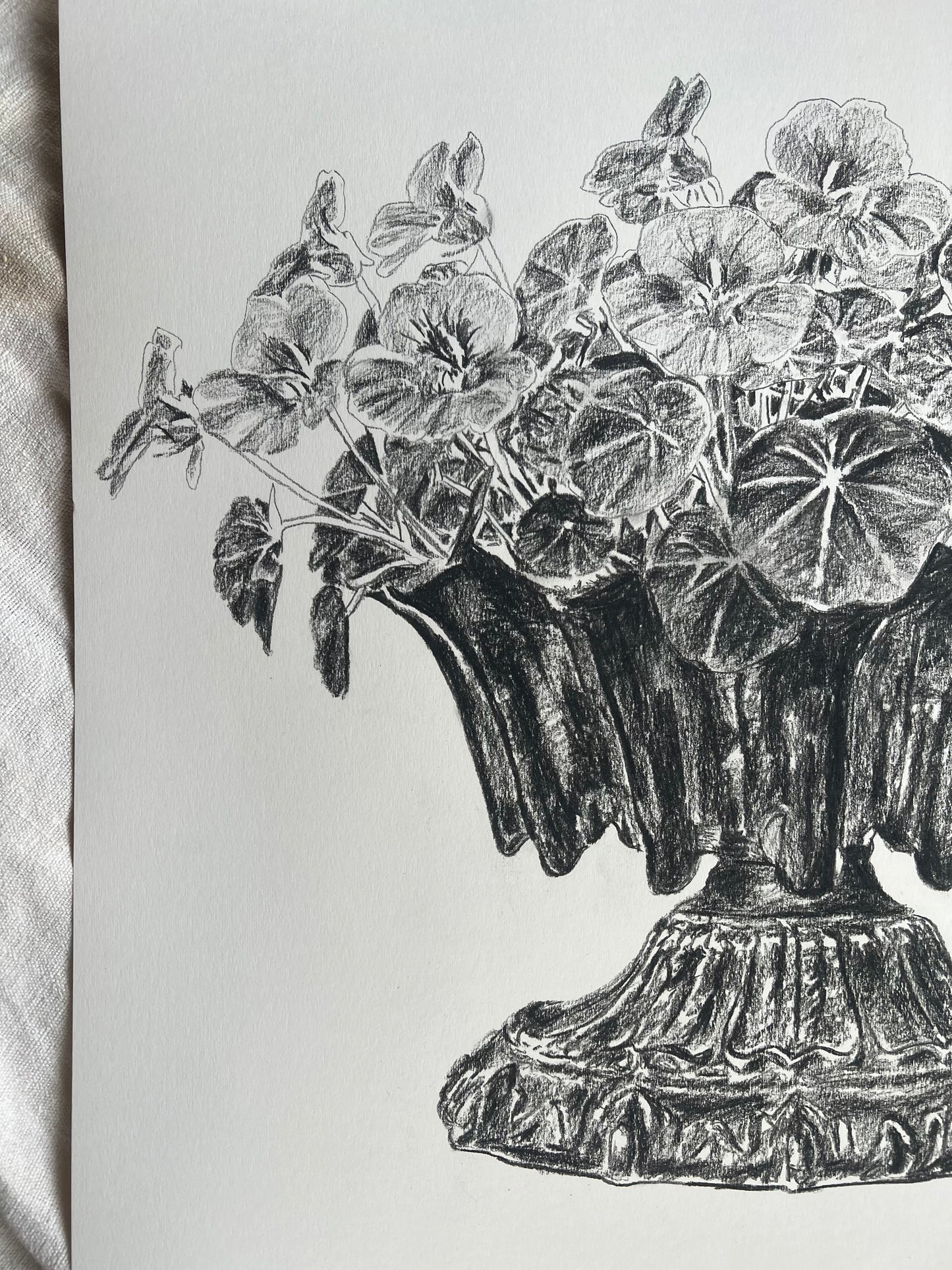 Nasturtiums in Jardiniere | Charcoal