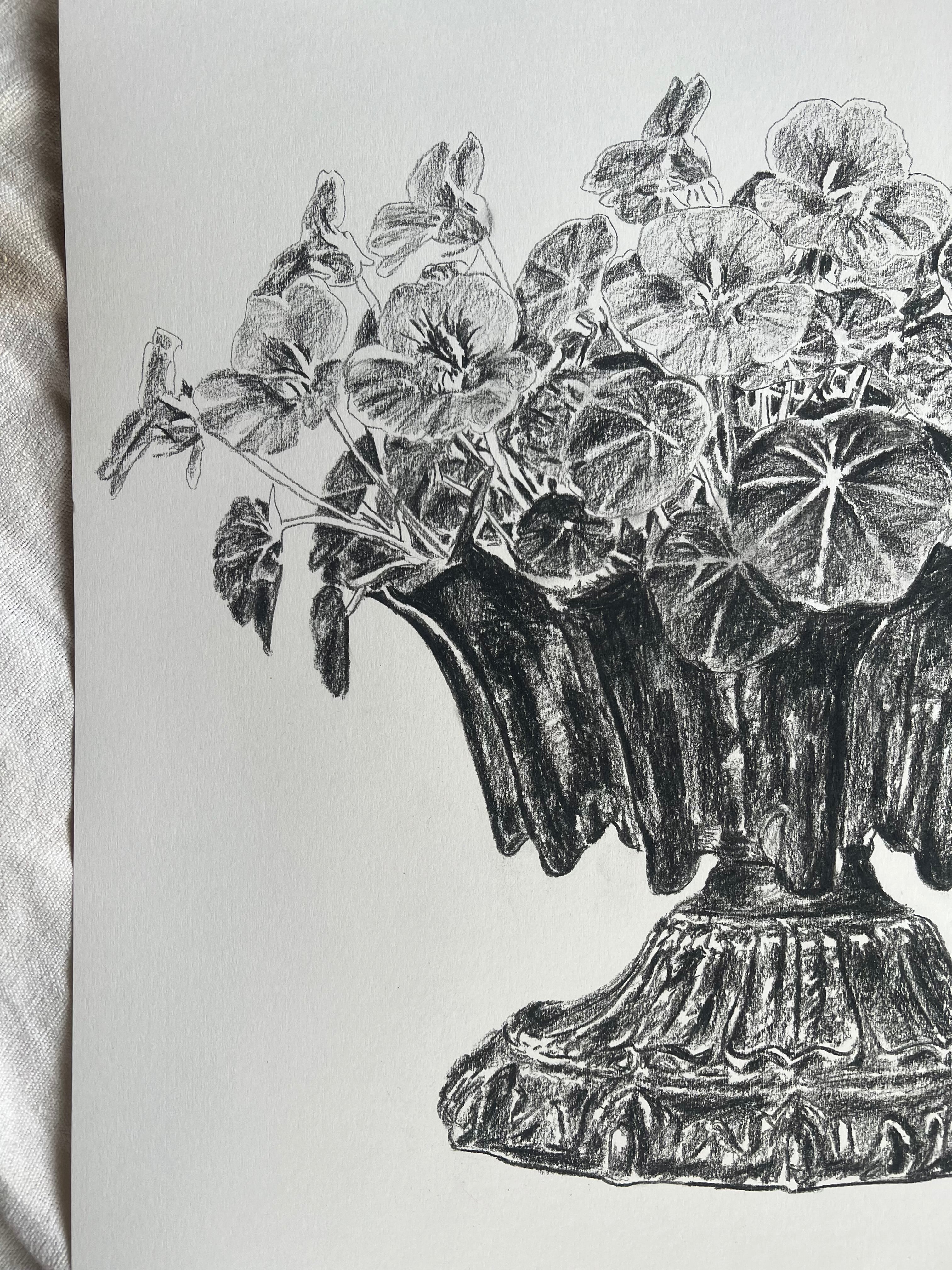 Nasturtiums in Jardiniere | Charcoal