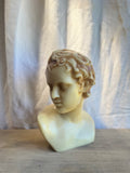 Wax Sculptural Busts - Adonis