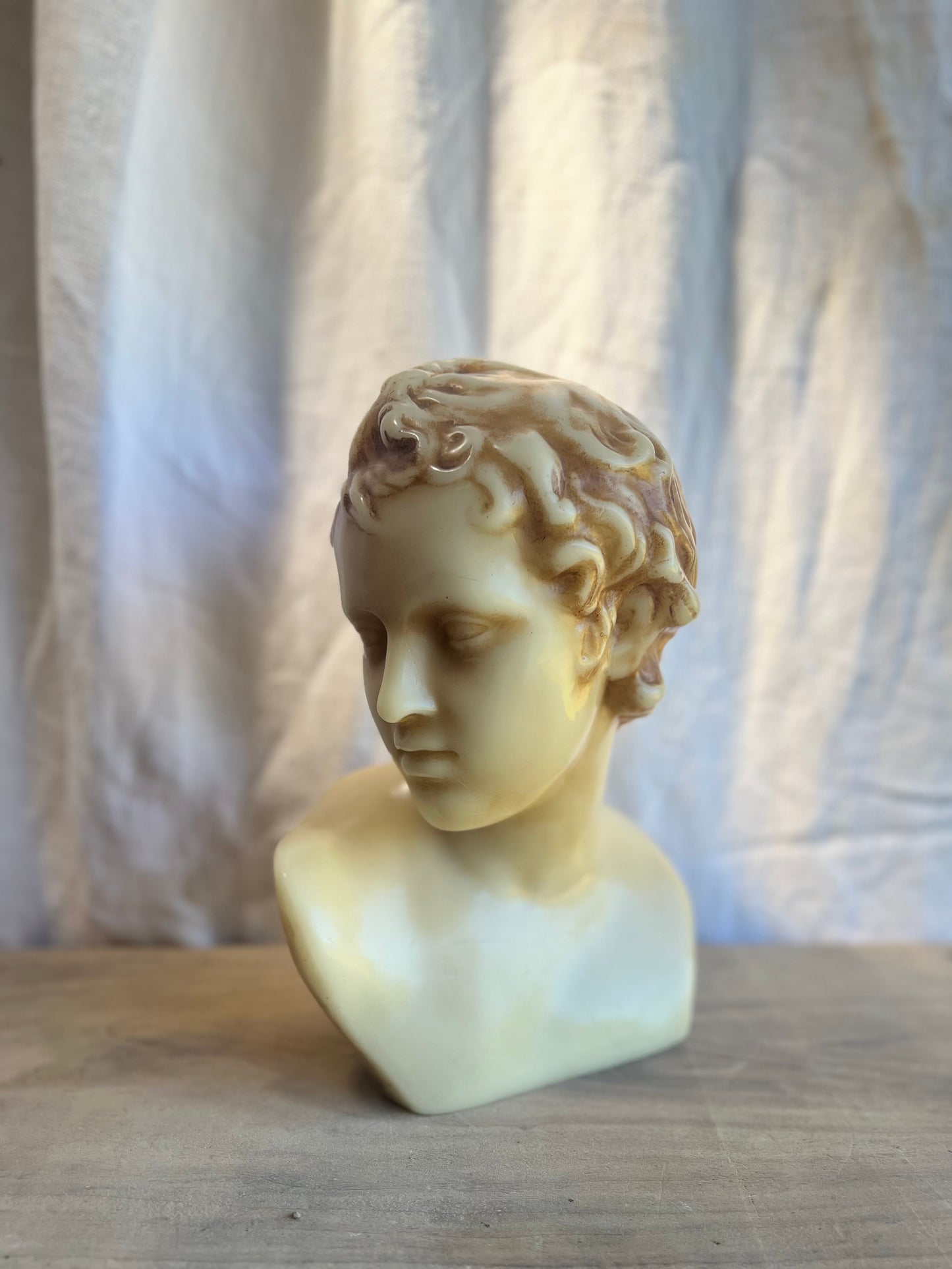Wax Sculptural Busts - Adonis