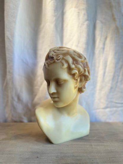 Wax Sculptural Busts - Adonis