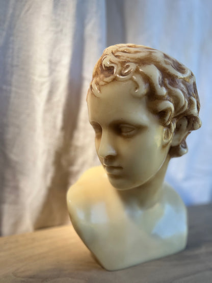 Wax Sculptural Busts - Adonis