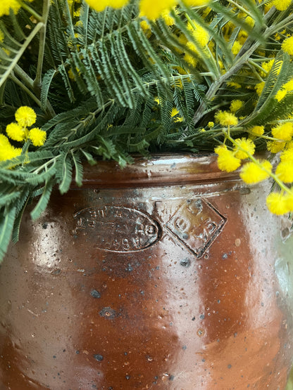 Châtelet 19th-Century French Stoneware Jar