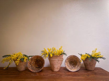 Set of 3 Terracotta French Sap Pots