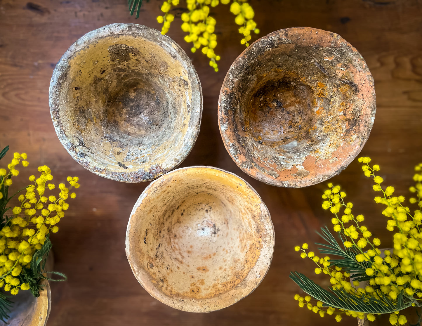 Set of 3 Terracotta French Sap Pots