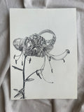 Tiger Lily