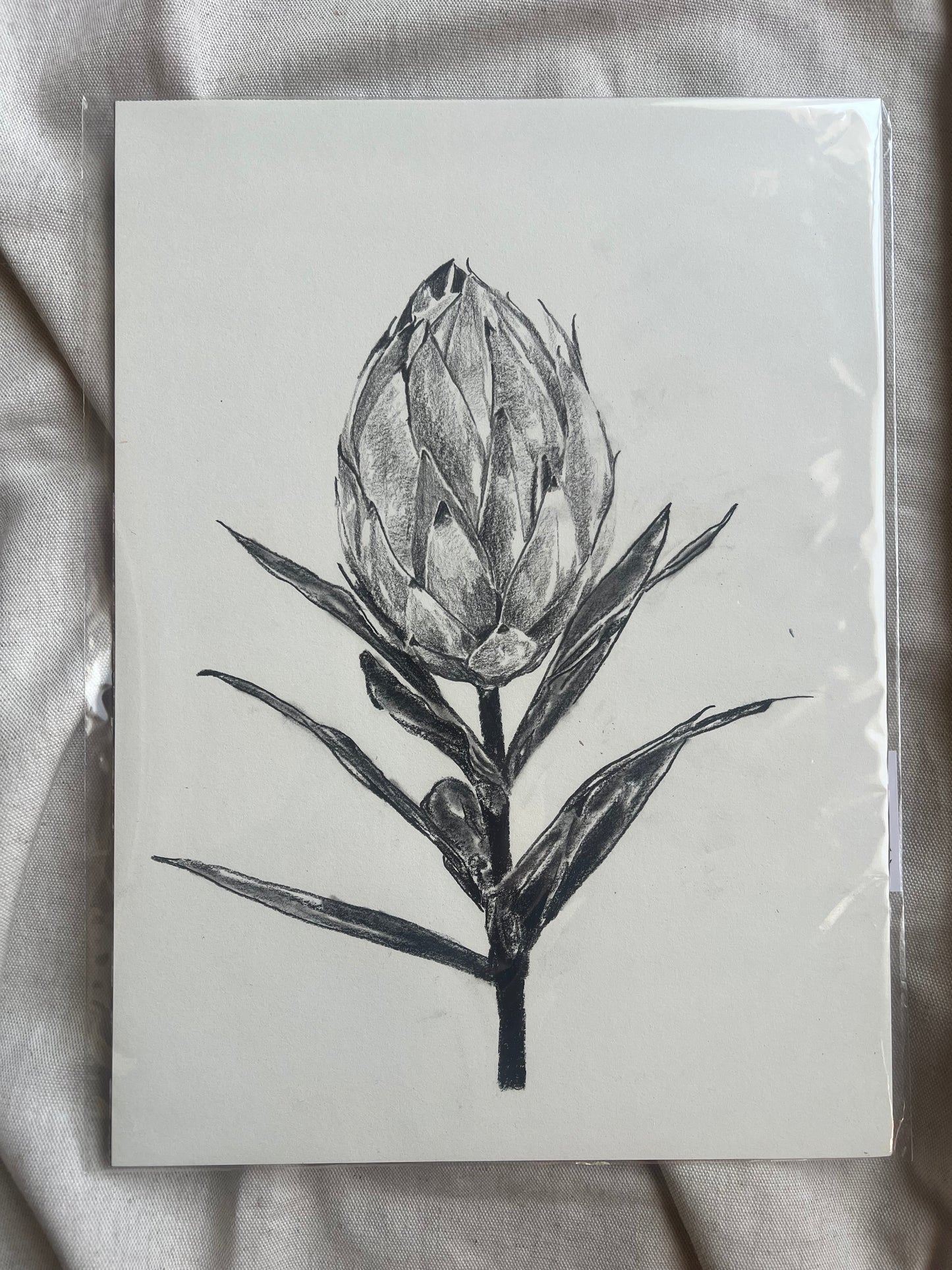 Protea Flower