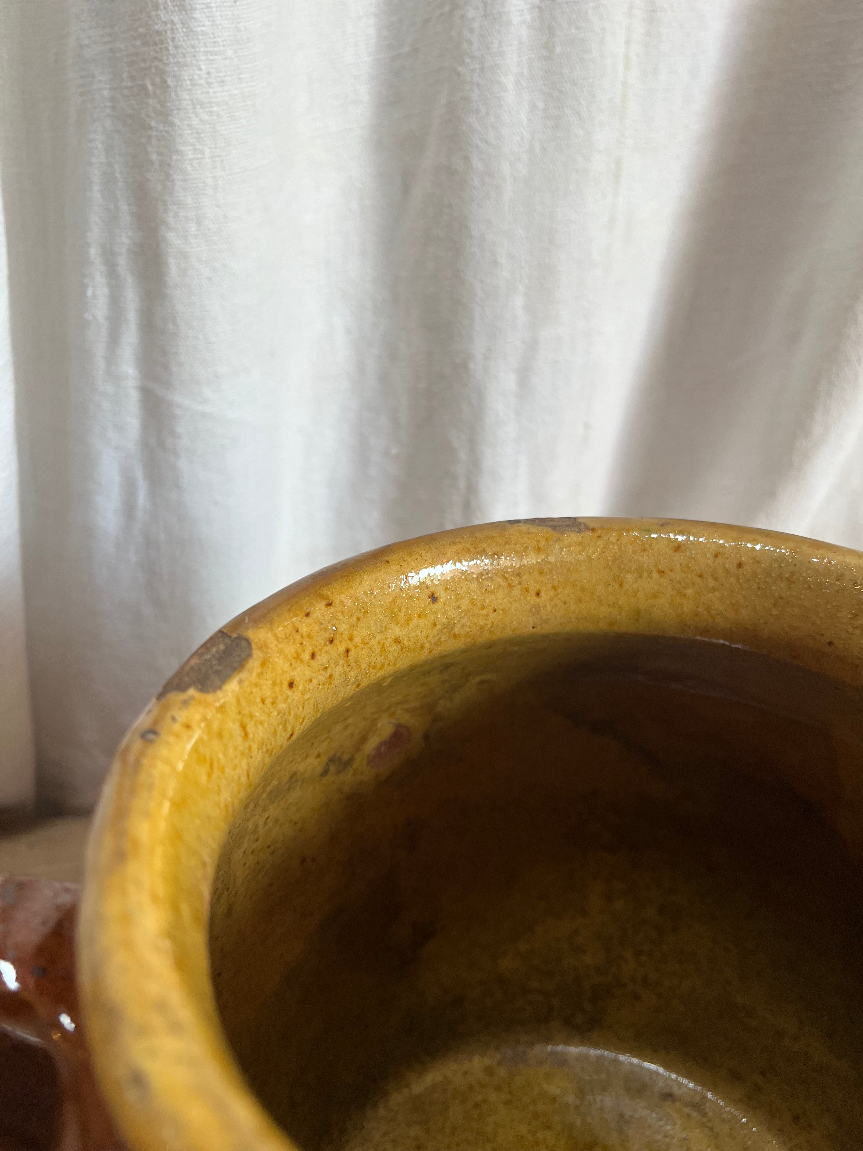 Brown & Ochre Confit