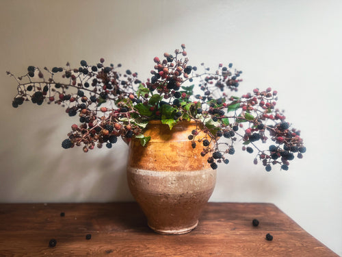 Pot à confit français du XIXe siècle
